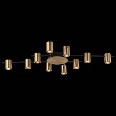 Фото Потолочная люстра ST-Luce Veroli SL1207.402.10