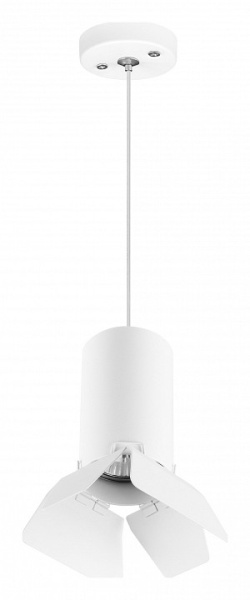 Фото Подвесной светильник Lightstar Rullo RP436436