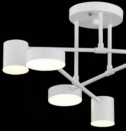 Фото Потолочная люстра EVOLUCE Nobel SLE201052-06