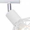 Открыть Спот Arte Lamp Sospiro A6141AP-2WH Фото Спот Arte Lamp Sospiro A6141AP-2WH