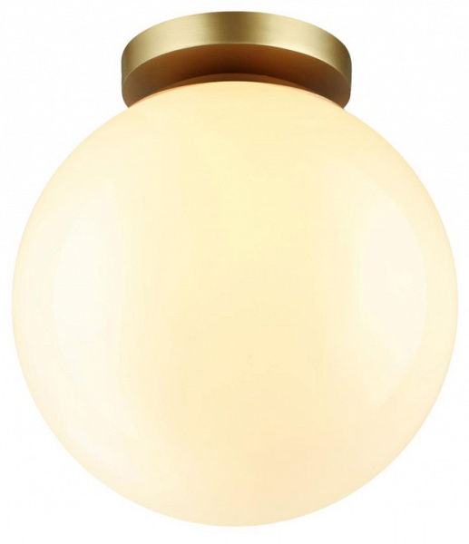 Фото Накладной светильник Odeon Light Bosco 4248/1C