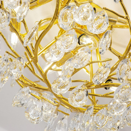 Фото Потолочная люстра Favourite Pluvia 4162-8C