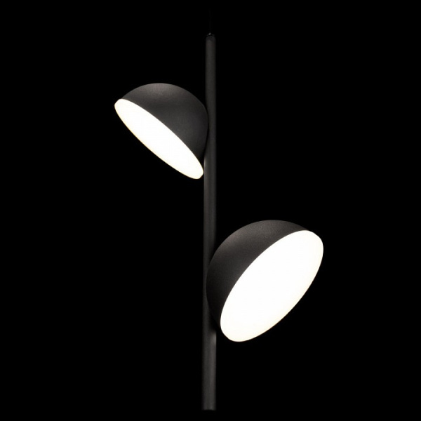 Фото Подвесной светильник Loft it Mons 10335 Black