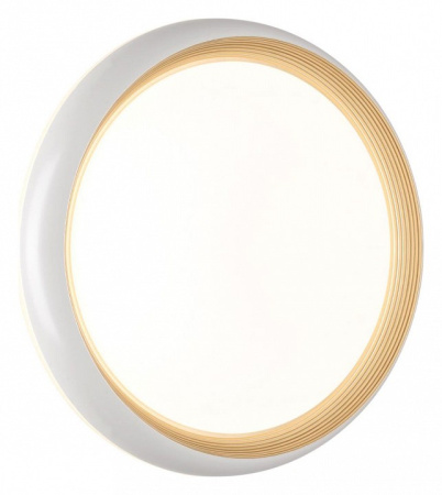 Фото Накладной светильник Sonex Tofiq White 7650/DL