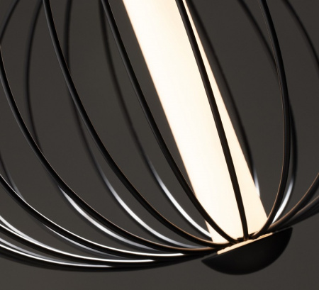 Фото Подвесной светильник Freya Sabi FR6131PL-L10B