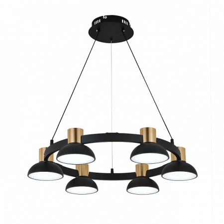 Открыть Подвесная люстра Indigo Traforo 11059/6P Black Фото Подвесная люстра Indigo Traforo 11059/6P Black