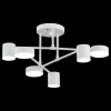 Фото Потолочная люстра EVOLUCE Nobel SLE201052-06