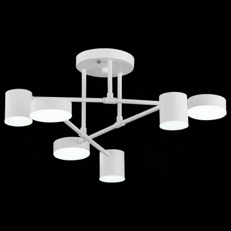 Фото Потолочная люстра EVOLUCE Nobel SLE201052-06