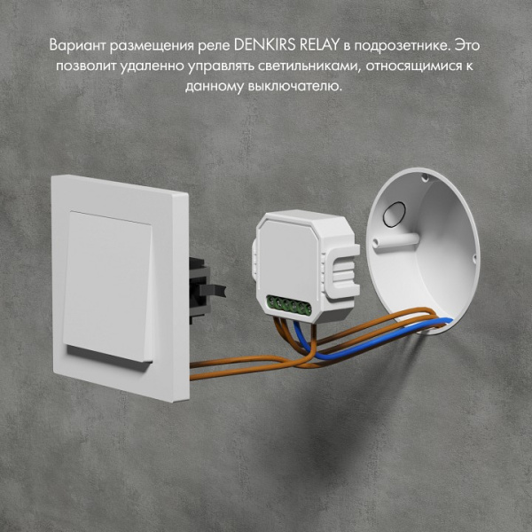 Фото Контроллер-диммер Wi-Fi для смартфонов и планшетов Denkirs RELAY RL1003-DM