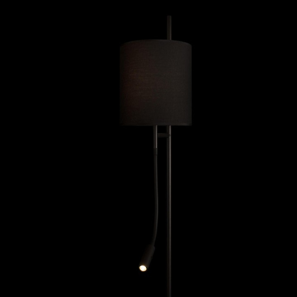 Фото Торшер с подсветкой Loft it Ritz 10253F/B Black