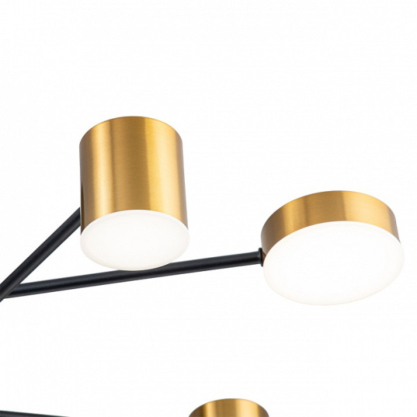 Фото Потолочная люстра Escada Ogma 10235/9LED