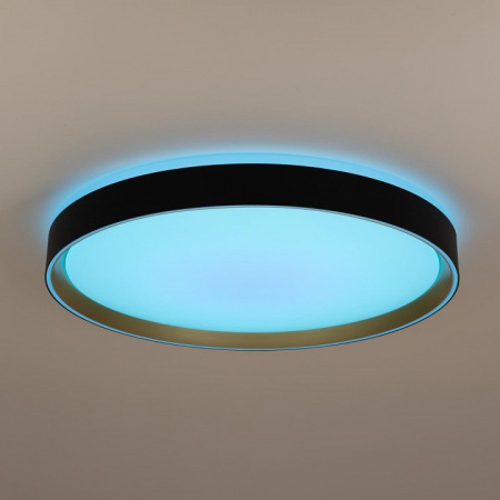 Фото Накладной светильник Citilux BOSS CL751451G