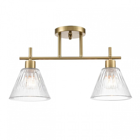 Фото Светильник на штанге Lumion Vivian 8188/2C