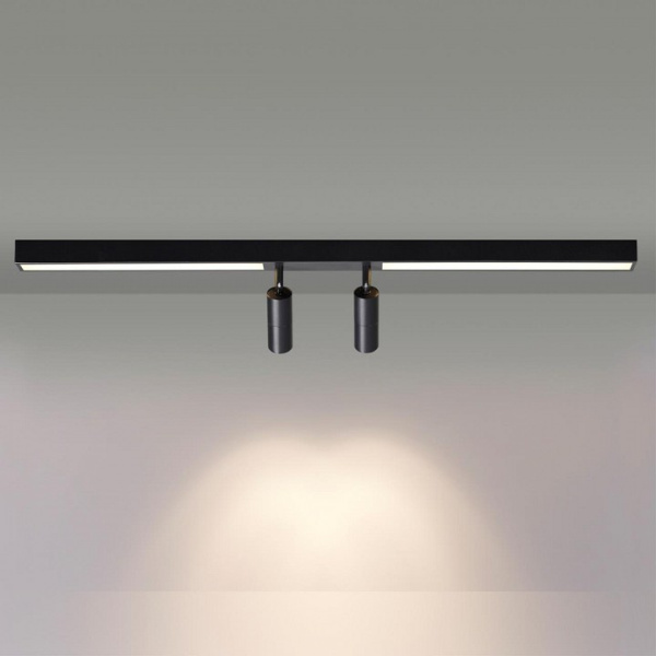 Фото Накладной светильник Lumion Ledio 5690/14CL