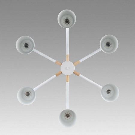 Фото Люстра на штанге Lumion Rosalina 8097/6C