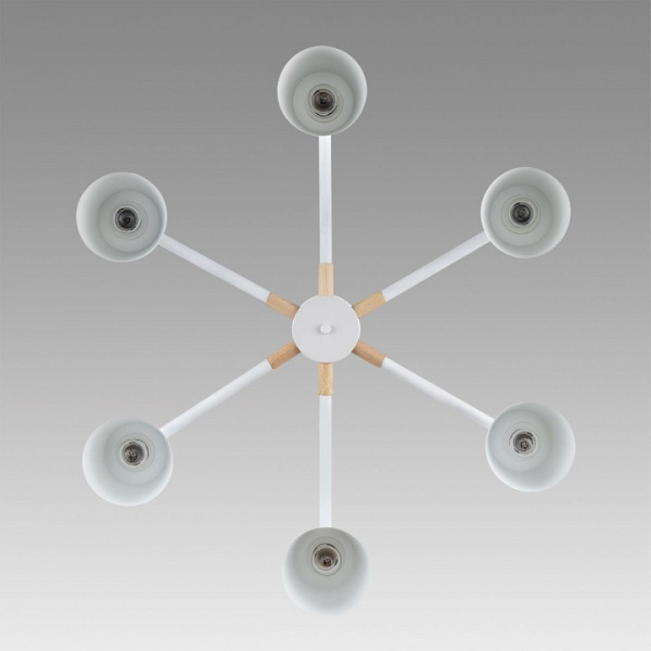 Фото Люстра на штанге Lumion Rosalina 8097/6C