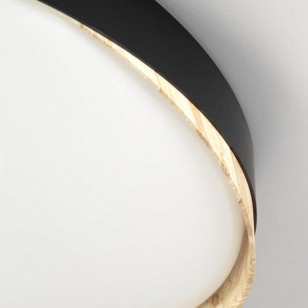 Фото Накладной светильник Citilux BONNY CL754451G