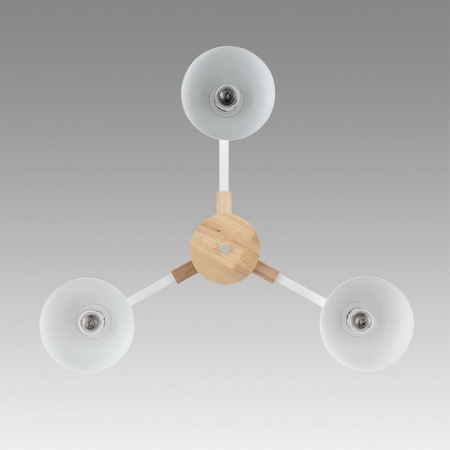 Фото Люстра на штанге Lumion Colange 8095/3C