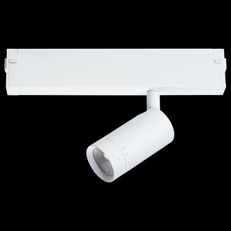 Фото Светильник на штанге Lightstar Teta 205016