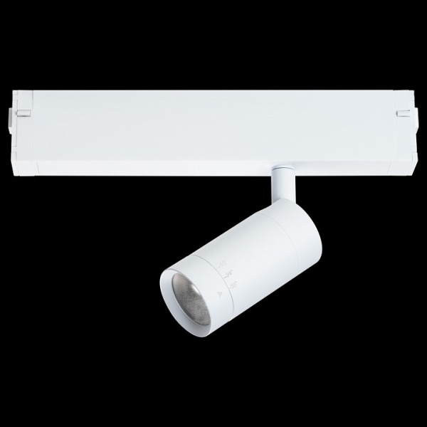 Фото Светильник на штанге Lightstar Teta 205016