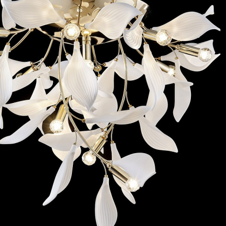 Фото Потолочная люстра Wertmark Miranda WE123.12.307