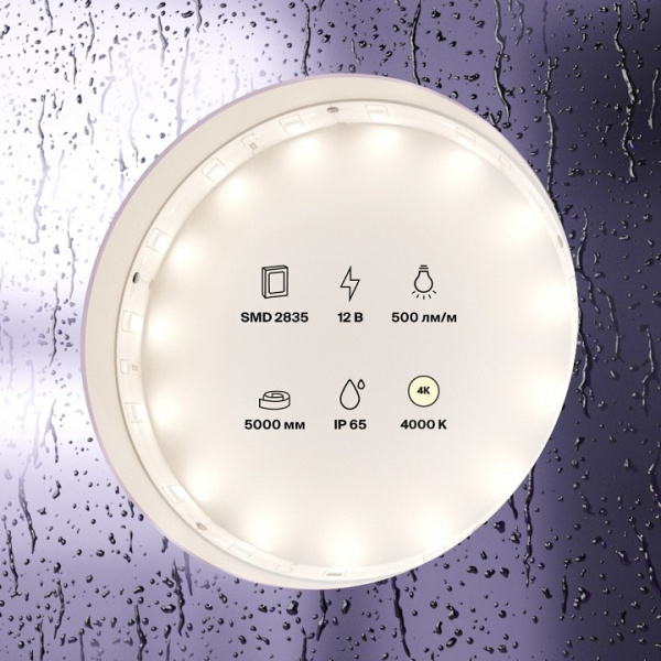Фото Лента светодиодная Maytoni Led strip 10106