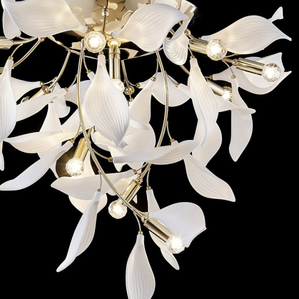 Фото Потолочная люстра Wertmark Miranda WE123.12.307