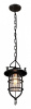 Открыть Подвесной светильник Loft it Warehouse LOFT1141 Фото Подвесной светильник Loft it Warehouse LOFT1141