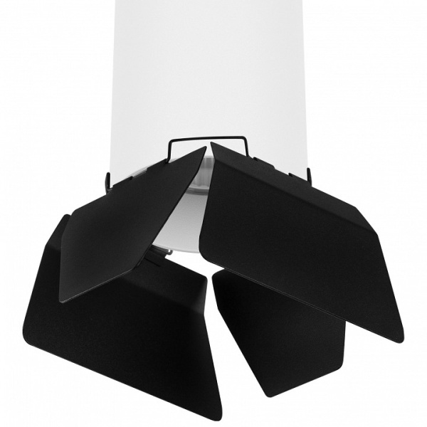 Фото Накладной светильник Lightstar Rullo 3 R6486487