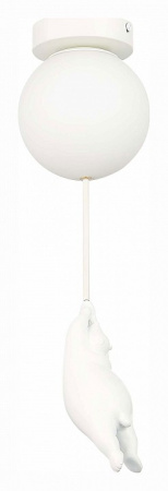 Фото Накладной светильник EVOLUCE Modena SLE115402-01