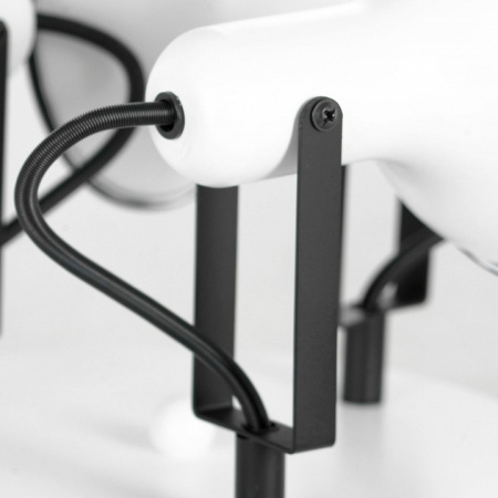 Фото Потолочная люстра Lussole Fargo LSP-8803