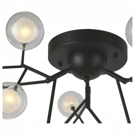 Фото Потолочная люстра F-promo Ligamentum 2481-9U