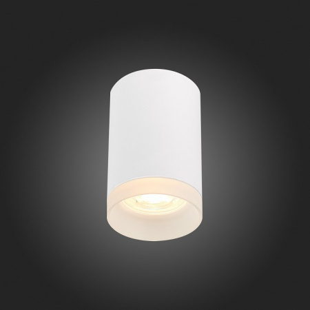 Фото Накладной светильник ST-Luce ST100 ST100.502.01