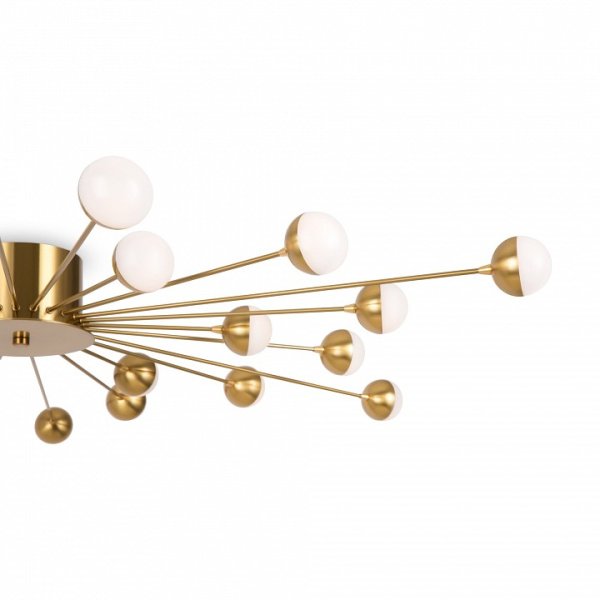 Фото Потолочная люстра Freya Celebrity FR5242CL-24BS