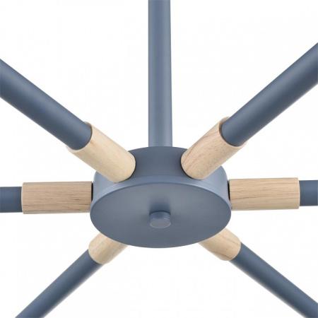 Фото Люстра на штанге Lumion Rosalina 8098/6C