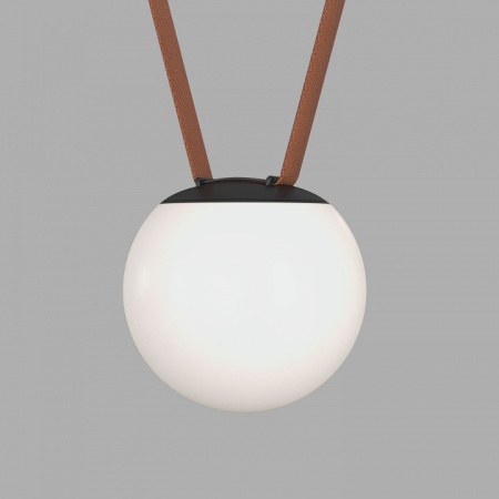 Фото Накладной светильник Denkirs BELTY ORB DK5550-BK