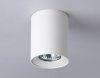 Открыть Накладной светильник Ambrella Light TN TN213136 Фото Накладной светильник Ambrella Light TN TN213136