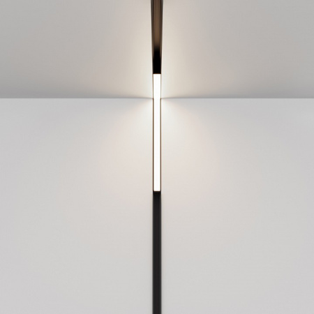 Фото Встраиваемый светильник Maytoni Basis TR102-24W4K-B