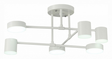 Фото Потолочная люстра EVOLUCE Nobel SLE201052-06