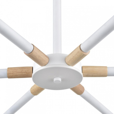 Фото Люстра на штанге Lumion Rosalina 8097/6C