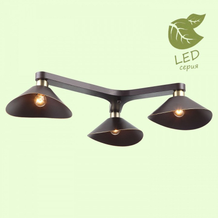 Фото Потолочная люстра Lussole Opelika GRLSP-9534