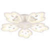 Открыть Накладной светильник Ambrella Light FA FA510 Фото Накладной светильник Ambrella Light FA FA510