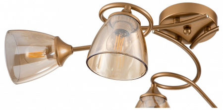 Фото Потолочная люстра Escada Celosia 1112/6P