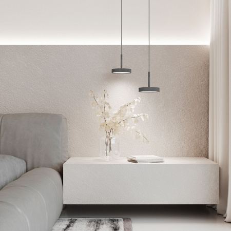 Фото Подвесной светильник Elektrostandard Plate a065413