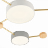 Открыть Накладной светильник EVOLUCE Dossena SLE600102-06 Фото Накладной светильник EVOLUCE Dossena SLE600102-06