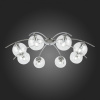 Открыть Потолочная люстра EVOLUCE Ratella SLE102602-08 Фото Потолочная люстра EVOLUCE Ratella SLE102602-08