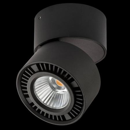 Фото Накладной светильник Lightstar Forte Muro 214817