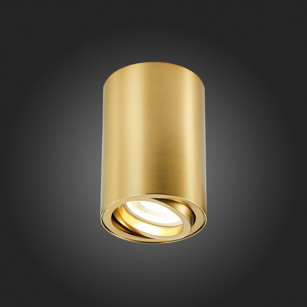 Фото Накладной светильник ST-Luce ST108 ST108.207.01