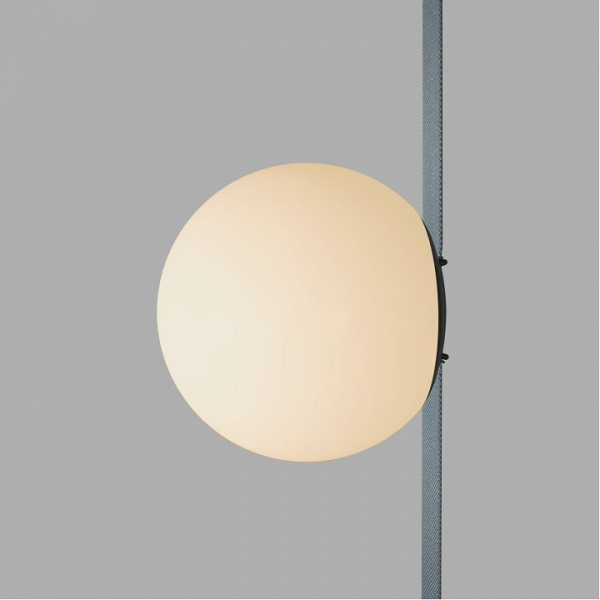 Фото Накладной светильник Denkirs BELTY ORB DK5551-BK