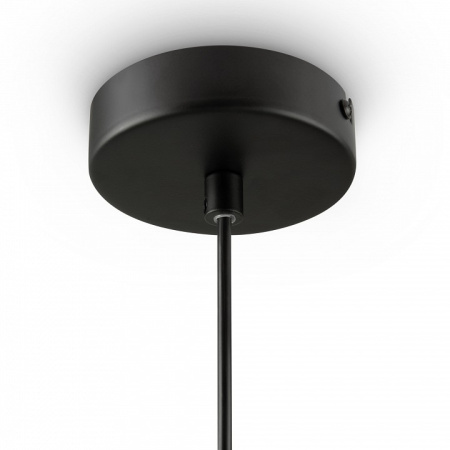 Фото Подвесной светильник Freya Tesse FR1011PL-01B1